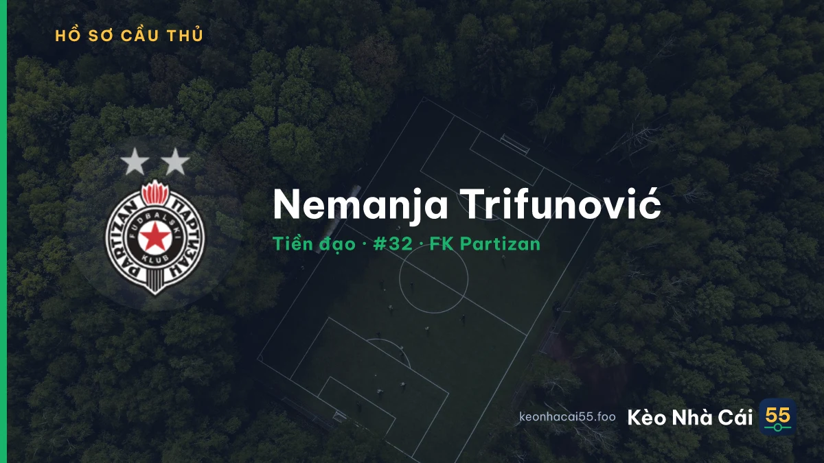 Nemanja Trifunović — FK Partizan