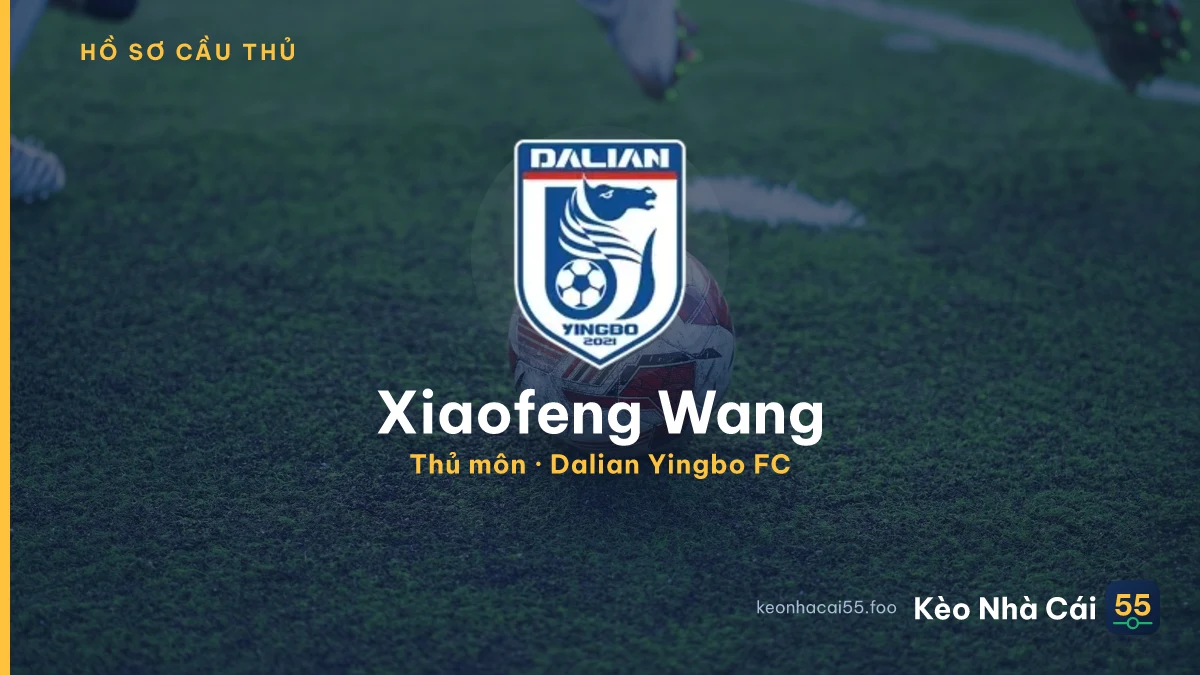 Xiaofeng Wang — Dalian Yingbo FC
