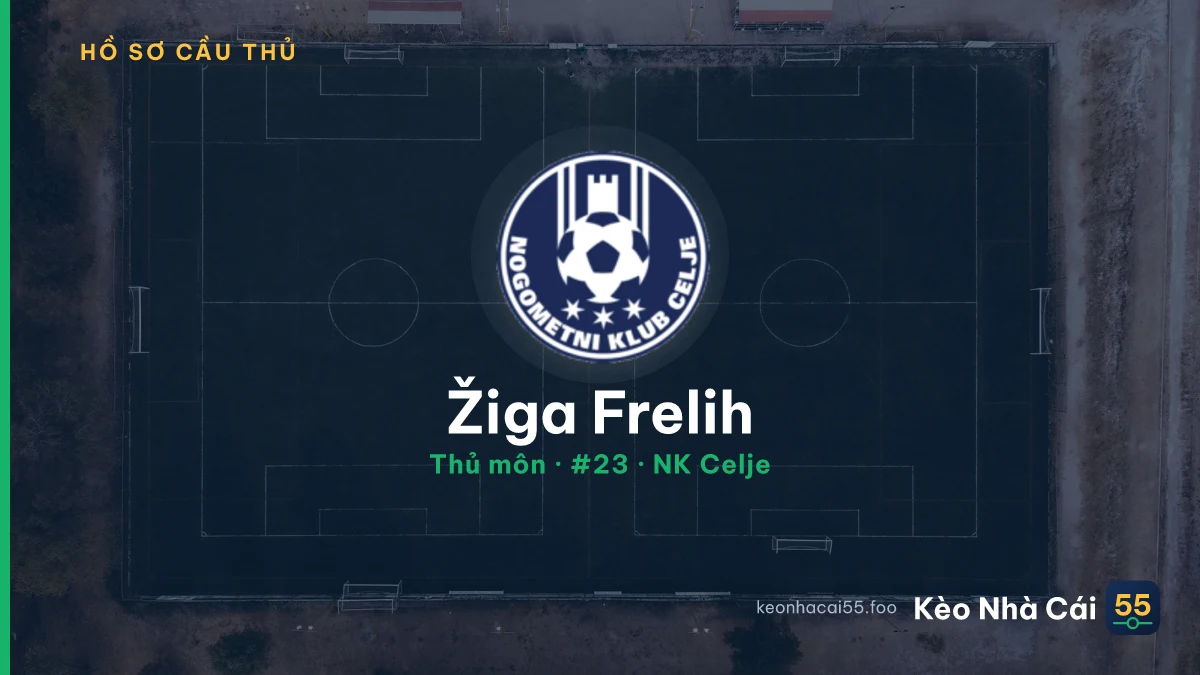 Žiga Frelih — NK Celje