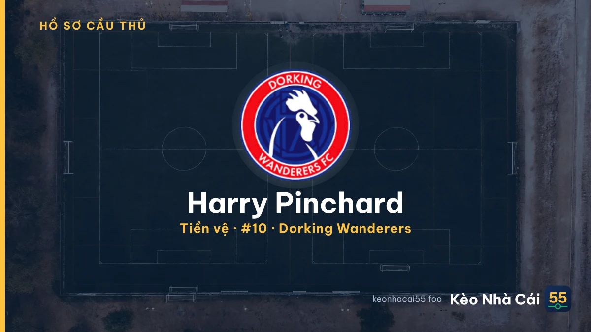 Harry Pinchard — Dorking Wanderers