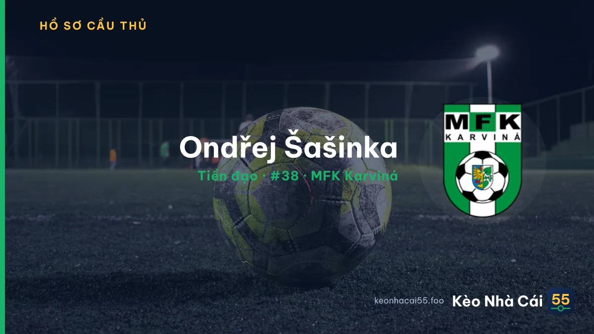 Ondřej Šašinka — MFK Karviná
