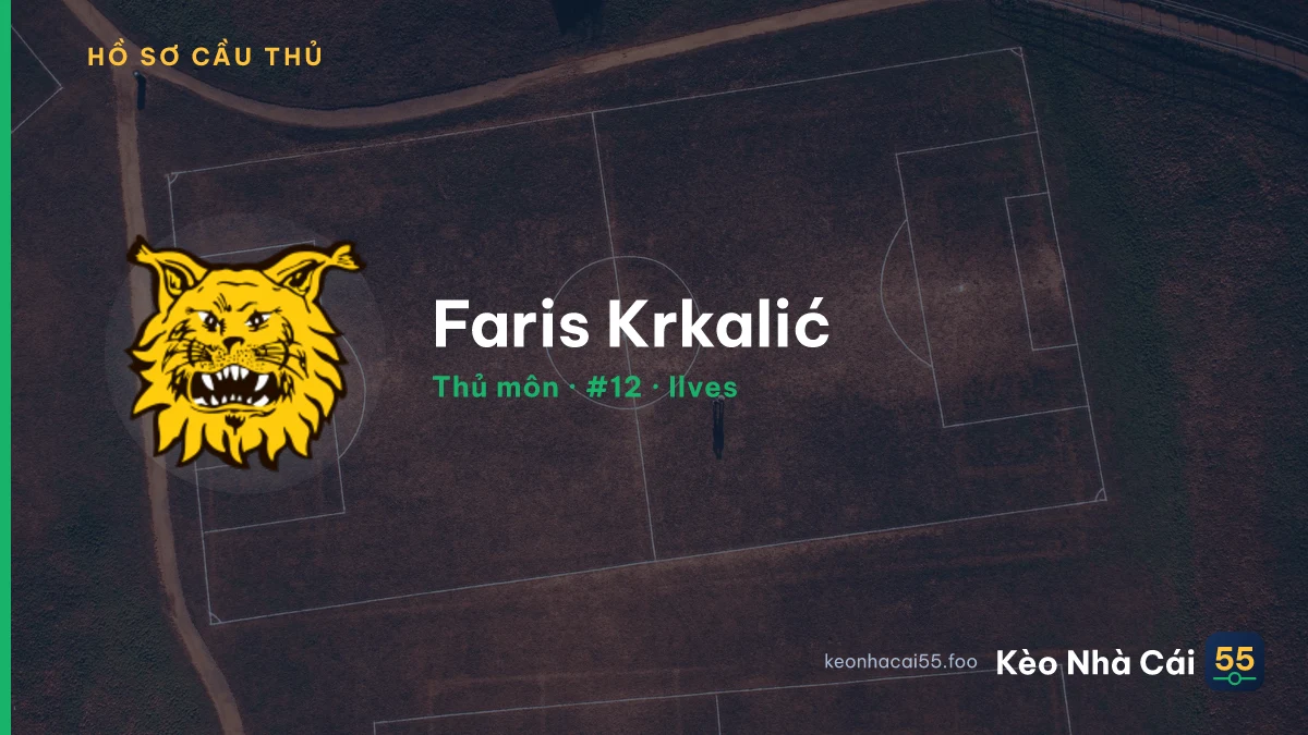 Faris Krkalić — Ilves