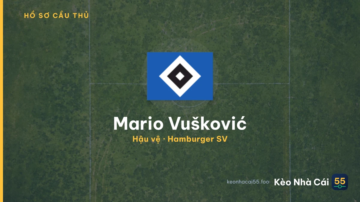 Mario Vušković — Hamburger SV