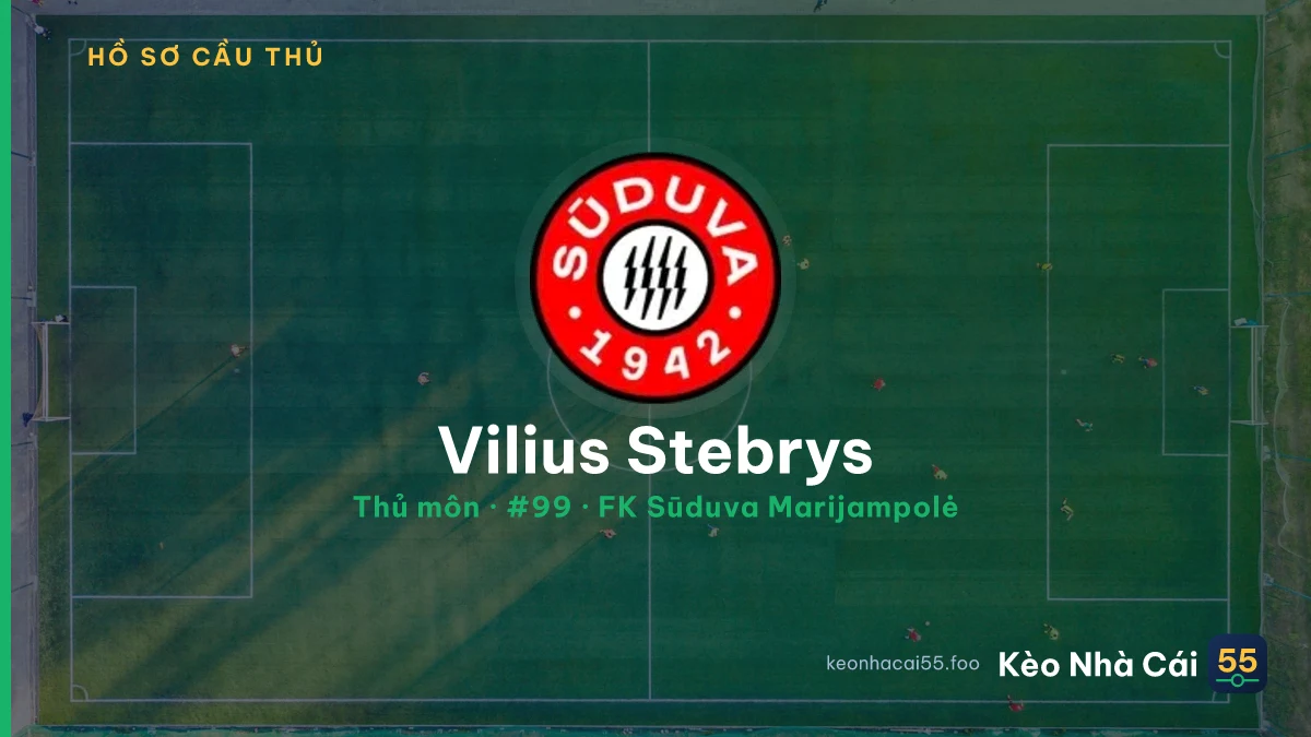 Vilius Stebrys — FK Sūduva Marijampolė