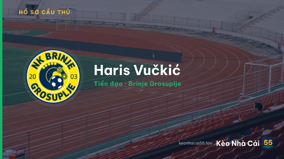 Haris Vučkić — Brinje Grosuplje