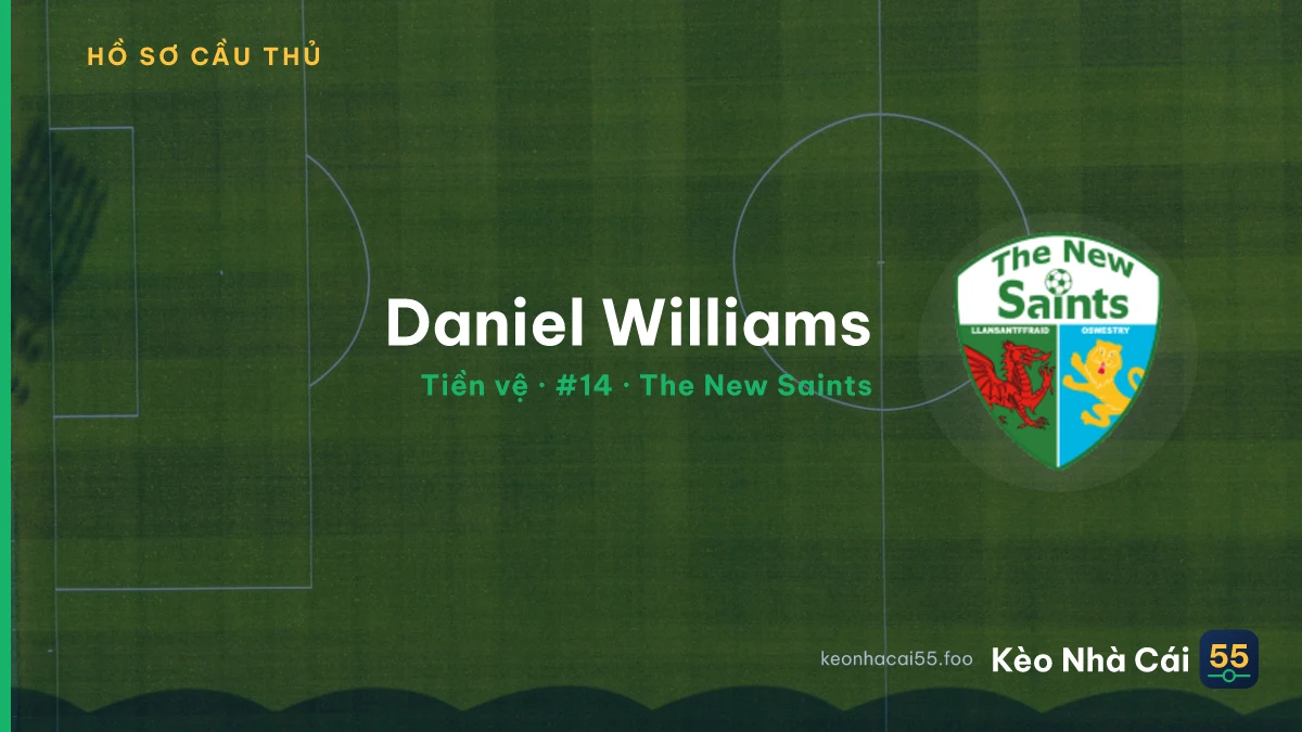 Daniel Williams — The New Saints