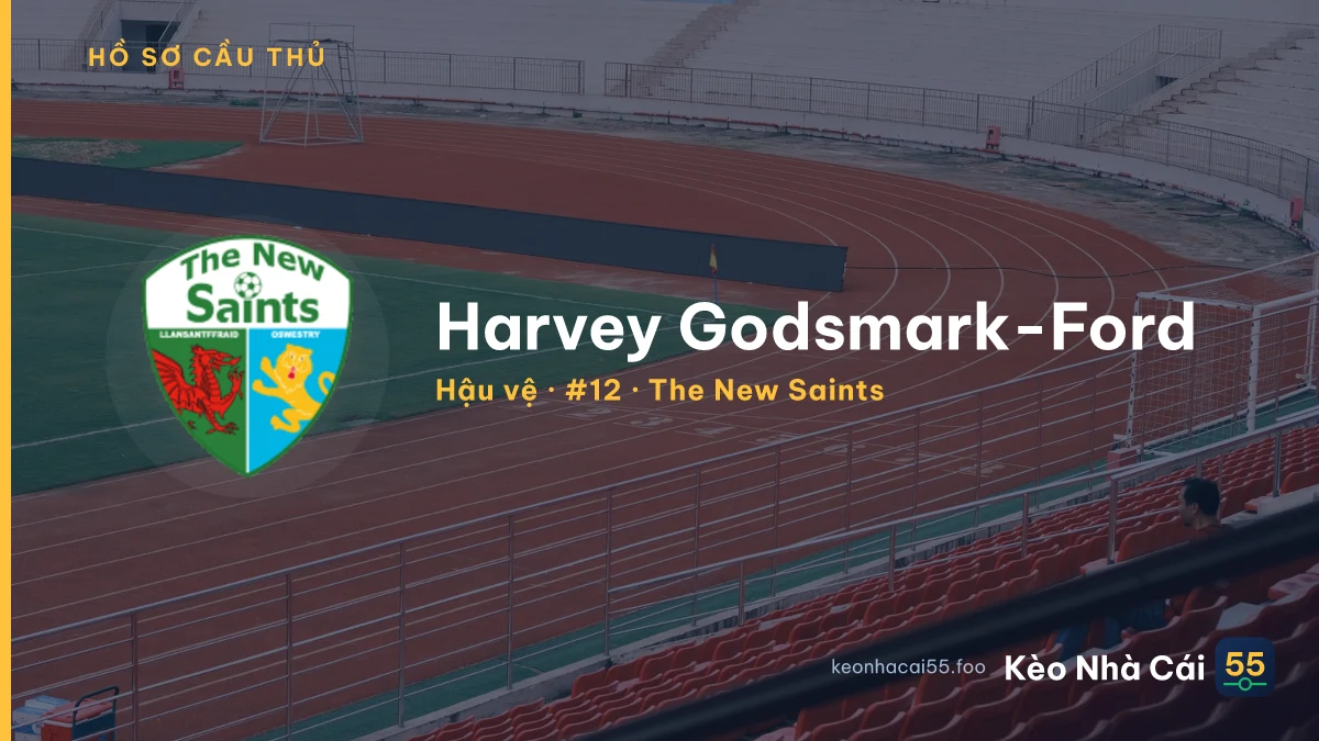 Harvey Godsmark-Ford — The New Saints