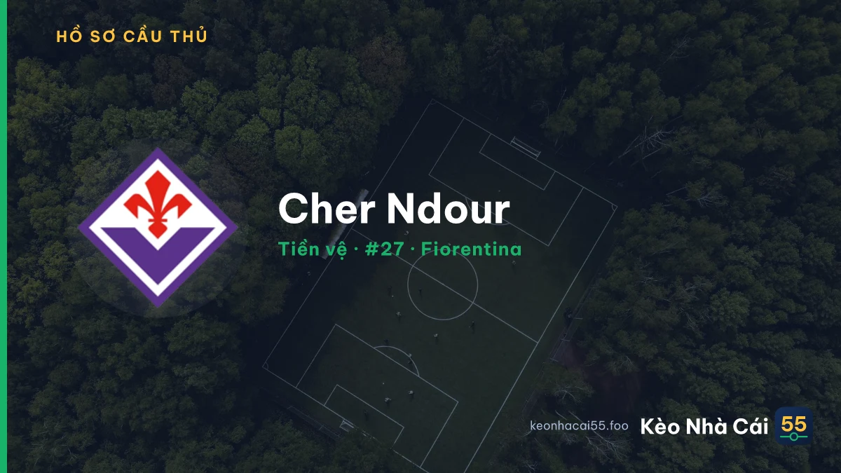 Cher Ndour — Fiorentina