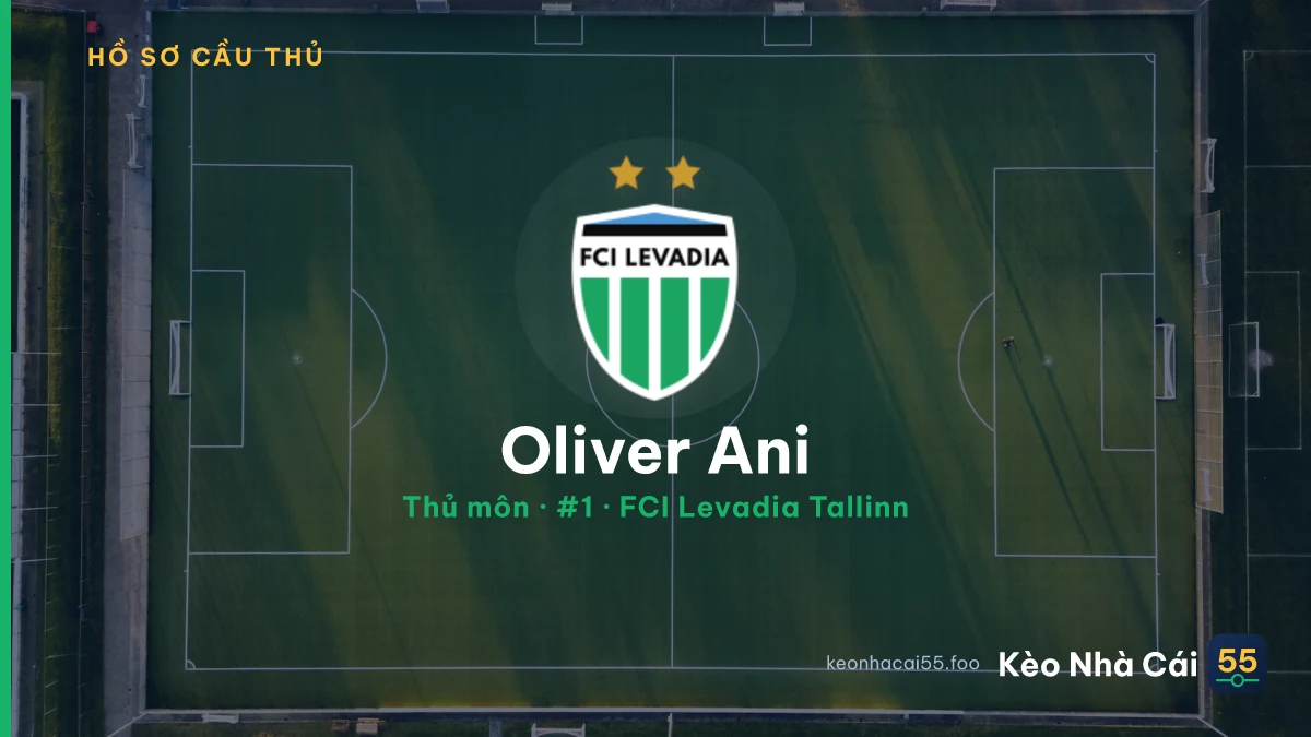 Oliver Ani — FCI Levadia Tallinn