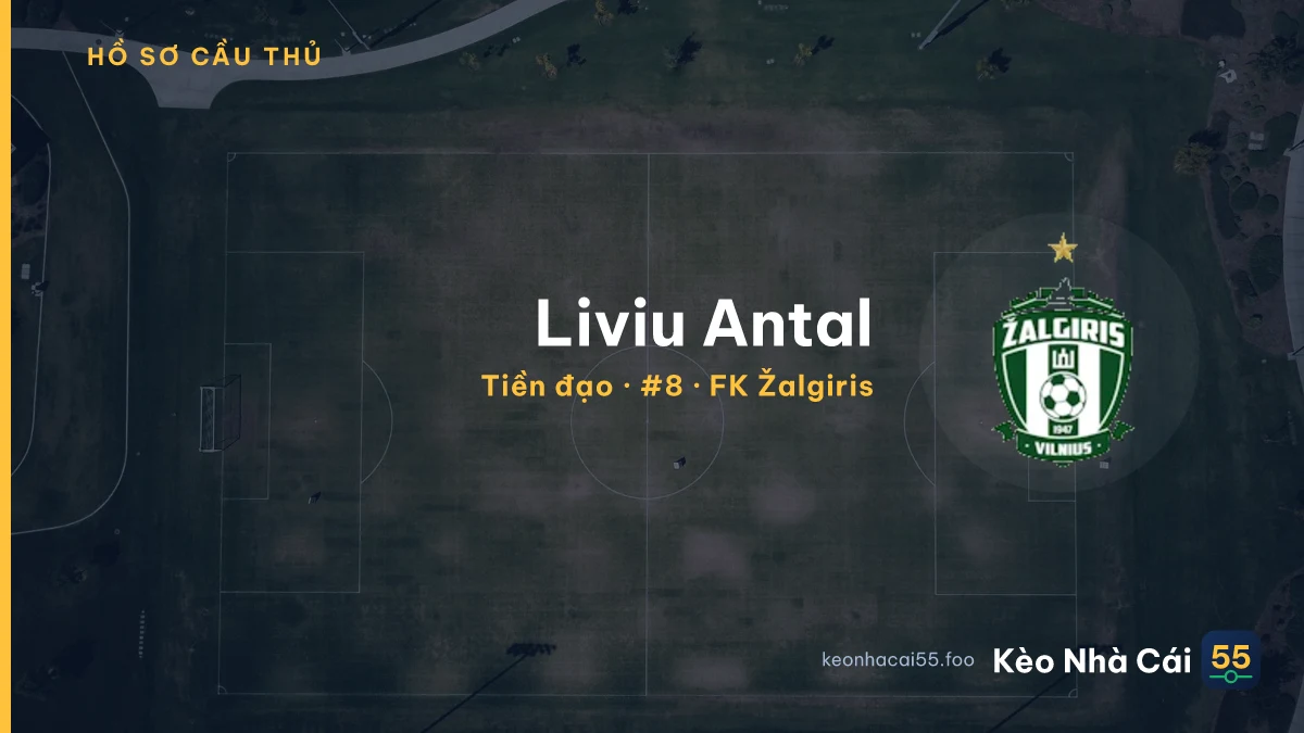 Liviu Antal — FK Žalgiris