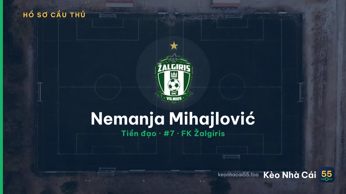 Nemanja Mihajlović — FK Žalgiris