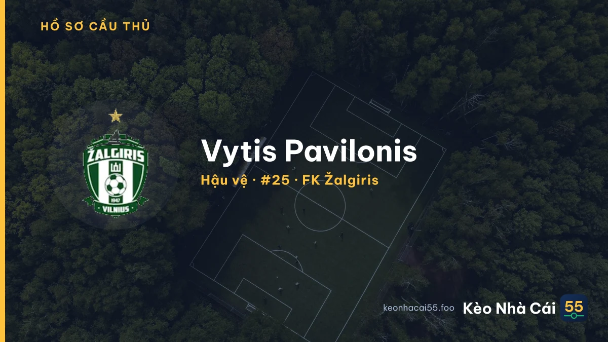 Vytis  Pavilonis — FK Žalgiris