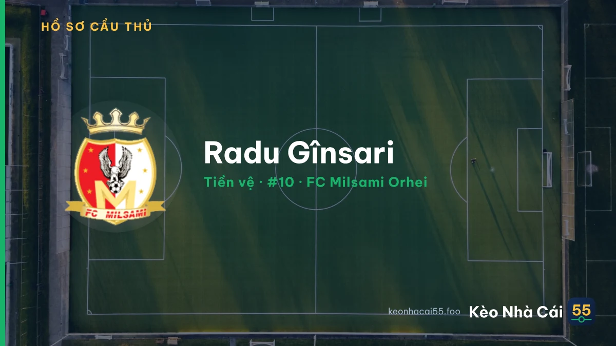 Radu Gînsari — FC Milsami Orhei
