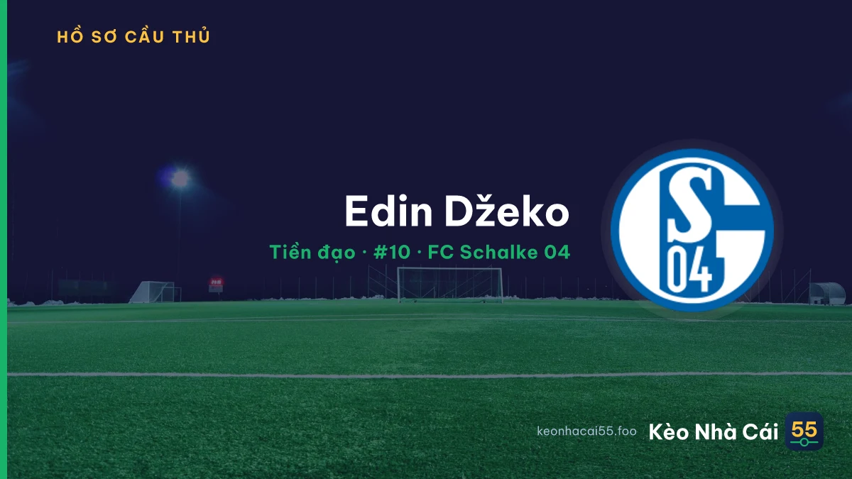 Edin Džeko — FC Schalke 04