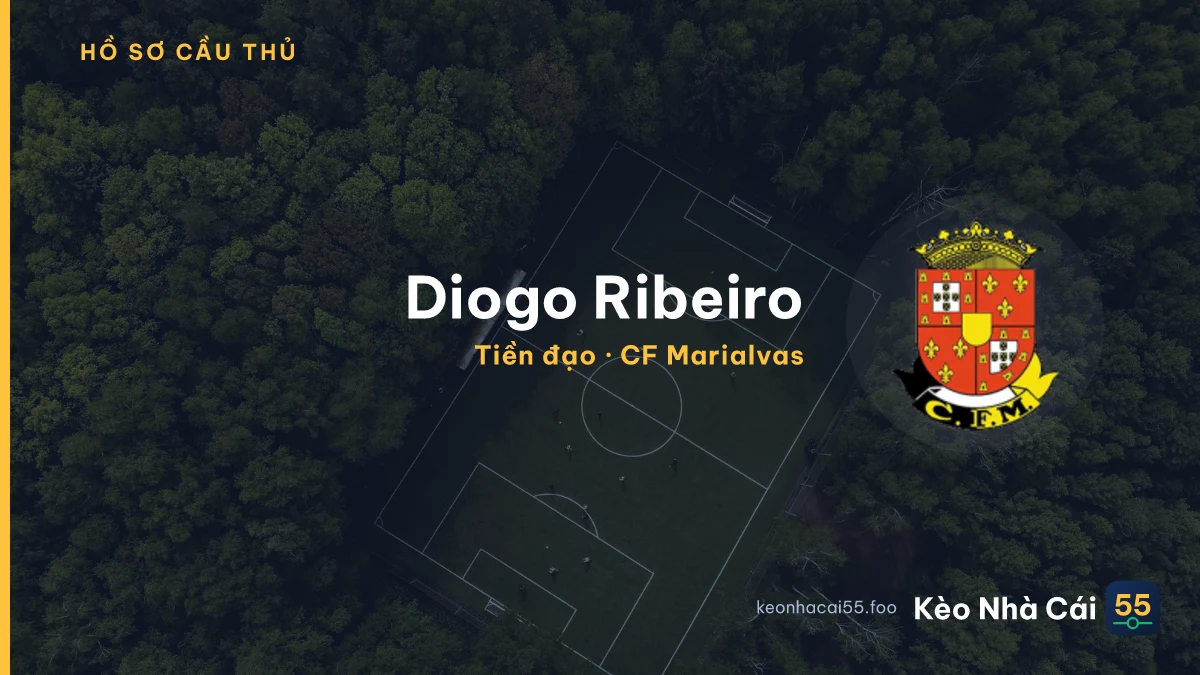 Diogo Ribeiro — CF Marialvas