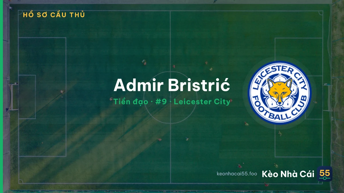 Admir Bristrić — Leicester City