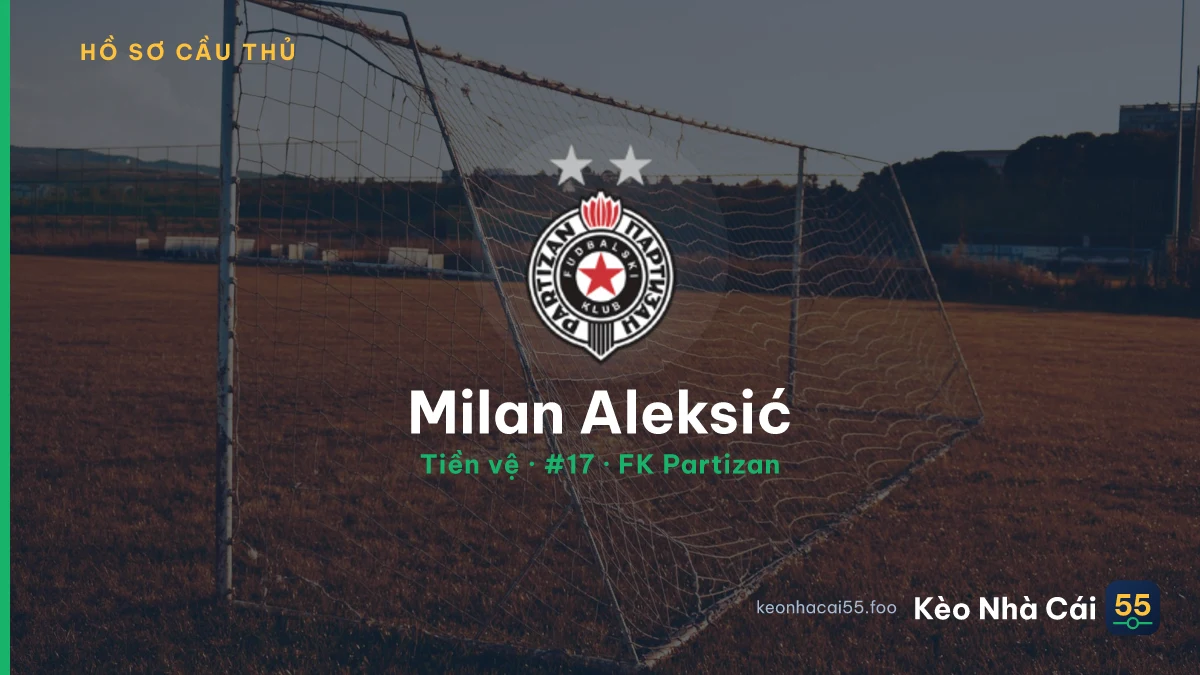 Milan Aleksić — FK Partizan