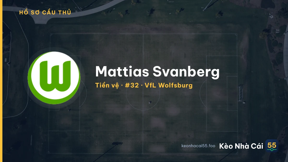 Mattias Svanberg — VfL Wolfsburg