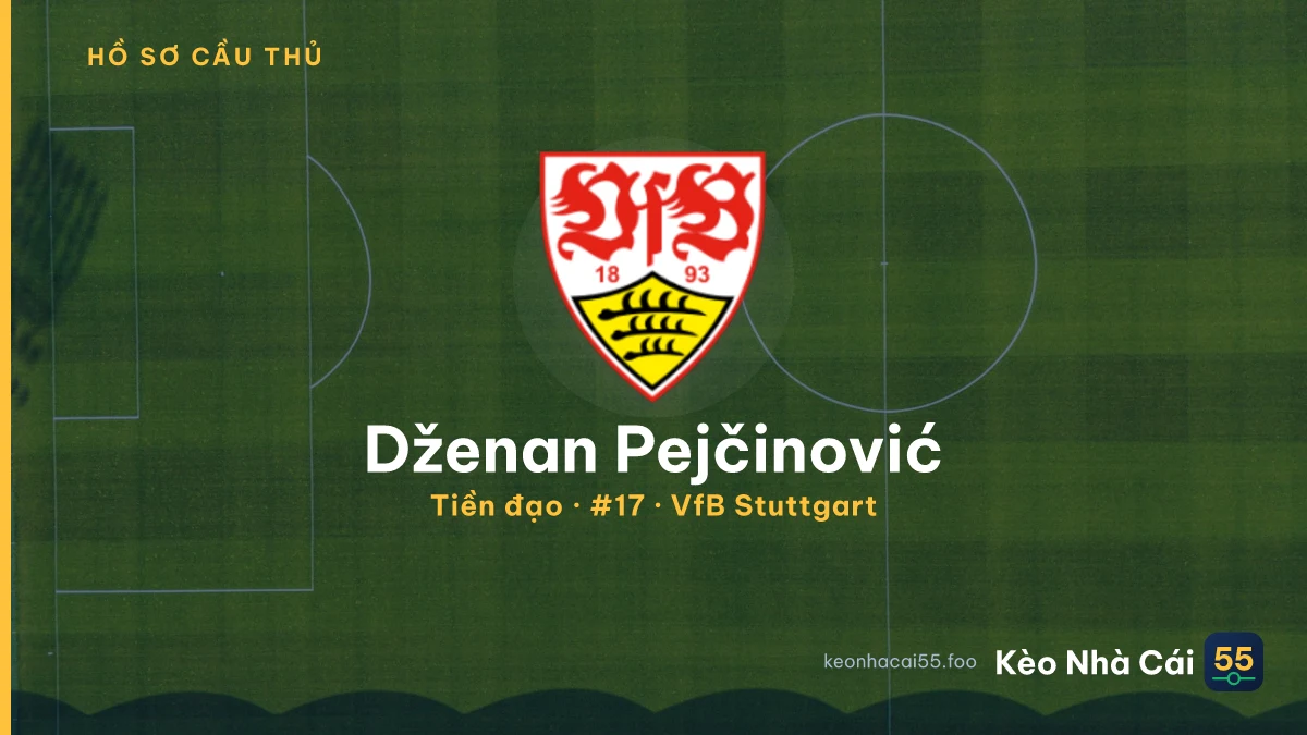 Dženan Pejčinović — VfB Stuttgart