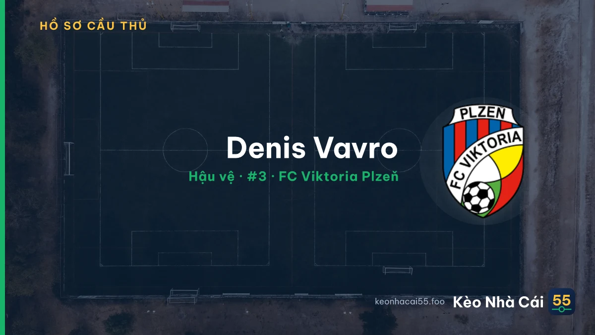 Denis Vavro — FC Viktoria Plzeň