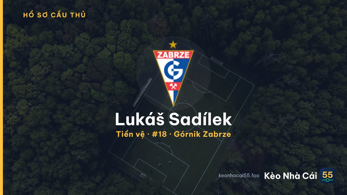 Lukáš Sadílek — Górnik Zabrze