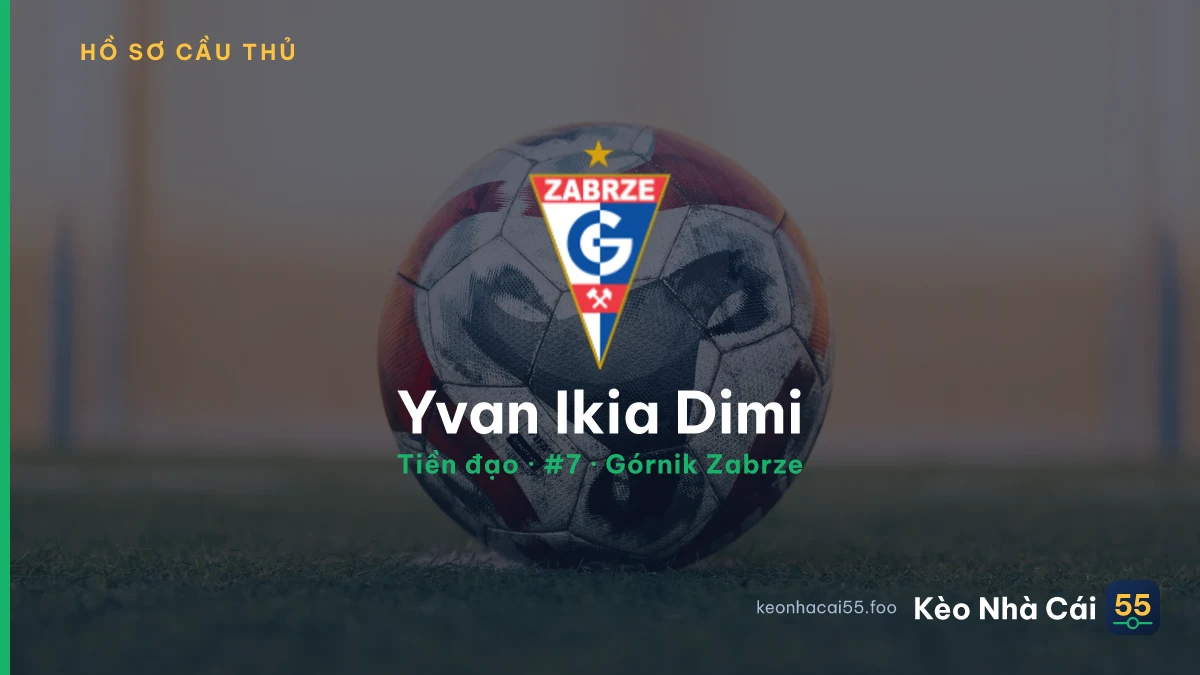 Yvan Ikia Dimi — Górnik Zabrze