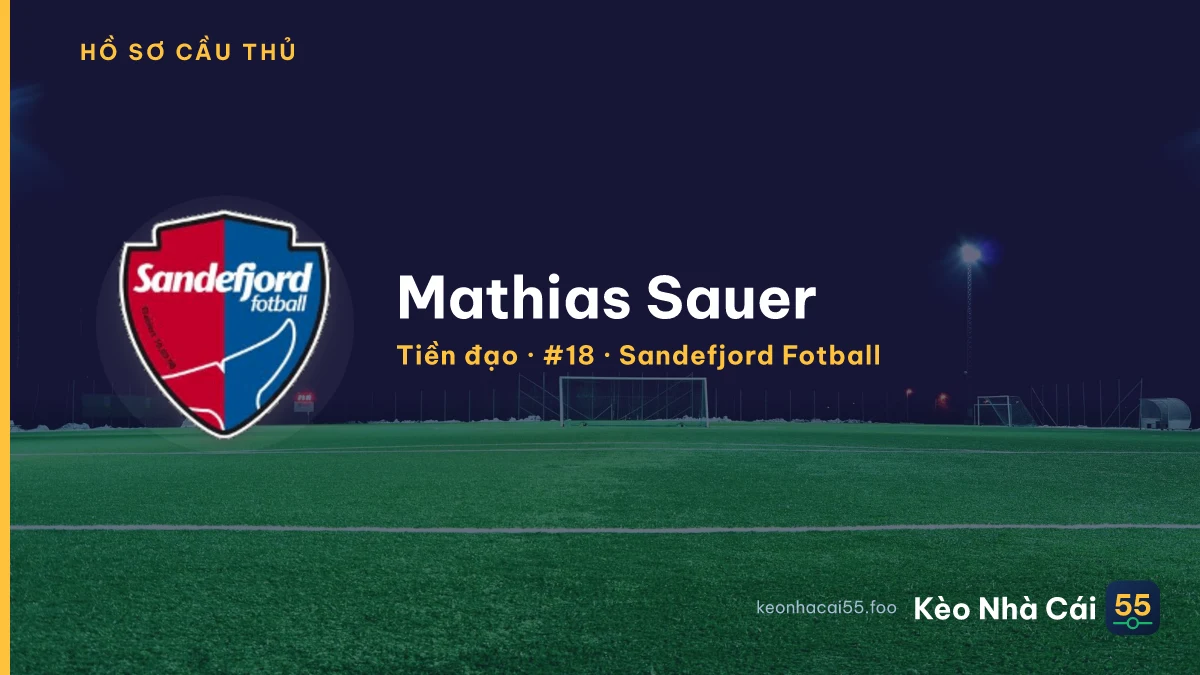 Mathias Sauer — Sandefjord Fotball
