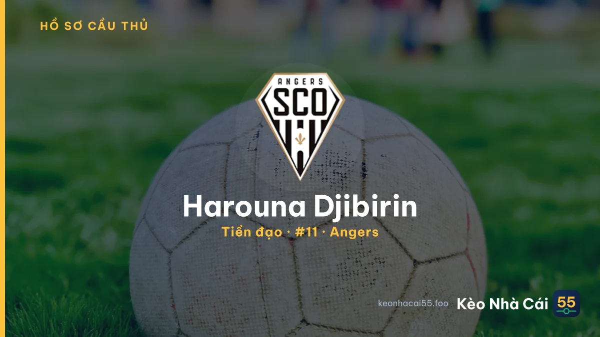 Harouna Djibirin — Angers