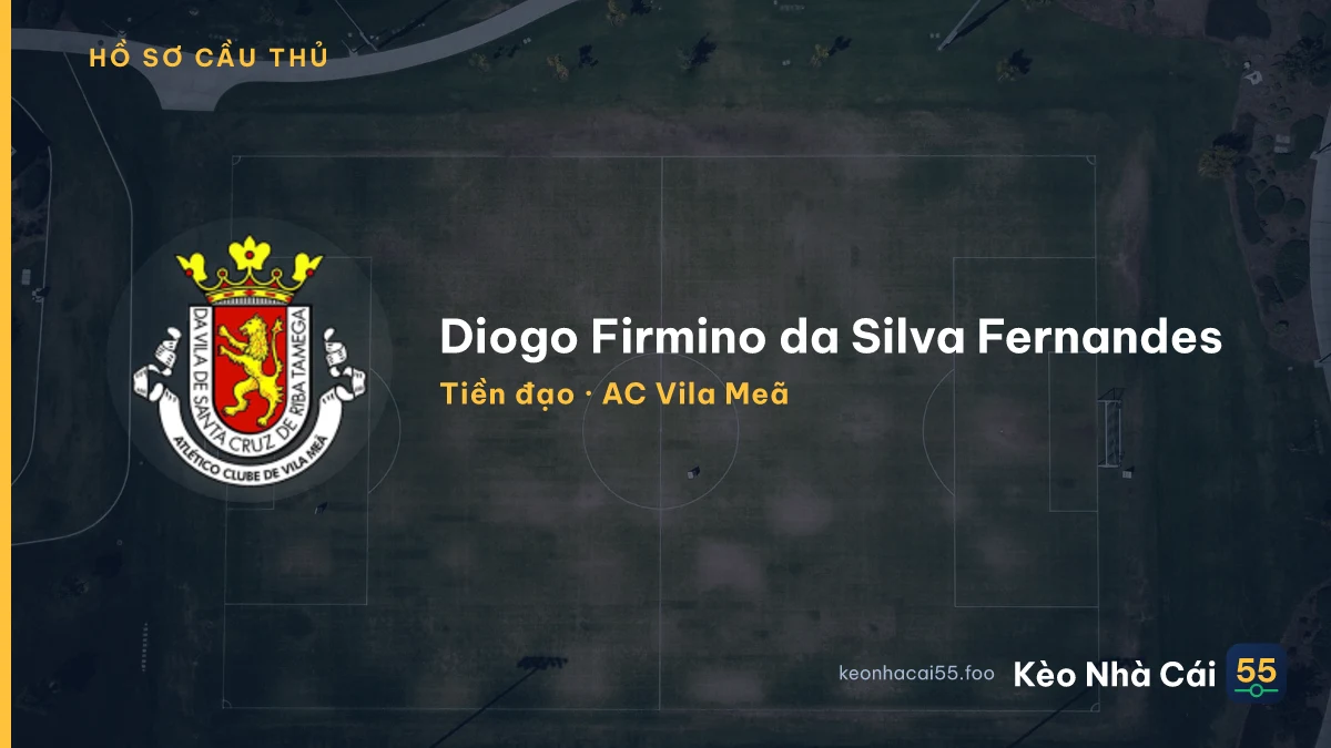 Diogo Firmino da Silva Fernandes — AC Vila Meã