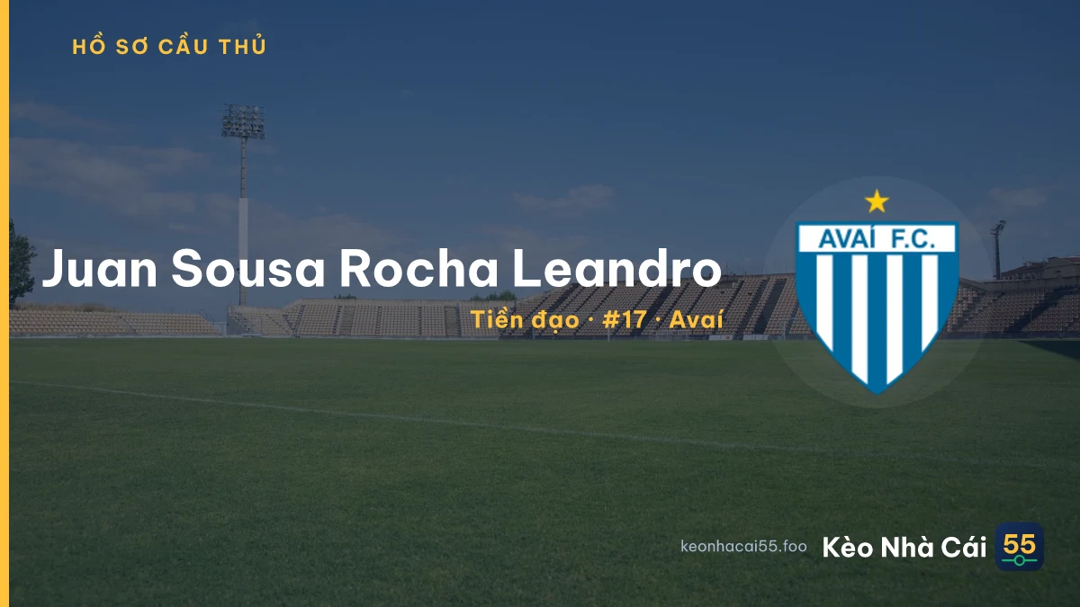 Juan Sousa Rocha Leandro — Avaí