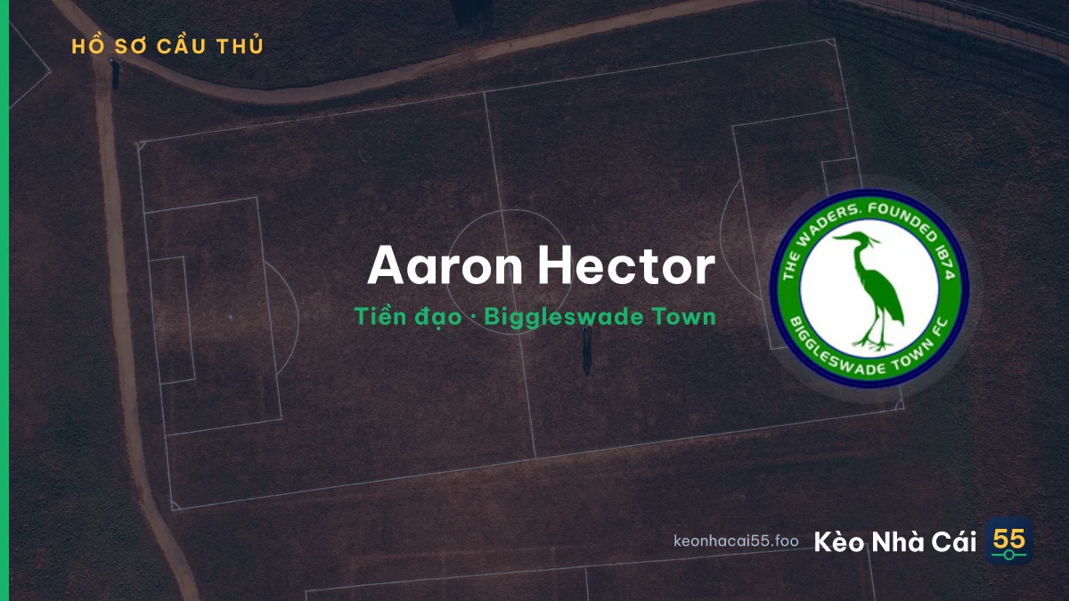 Aaron Hector — Biggleswade Town