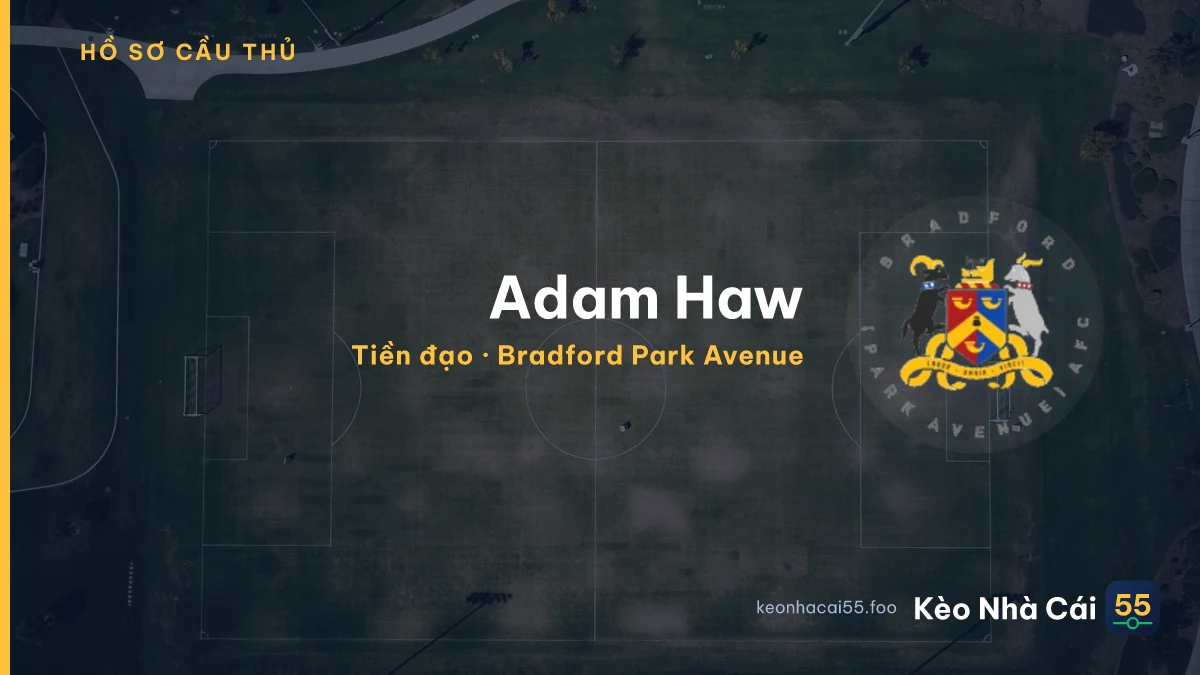 Adam Haw — Bradford Park Avenue