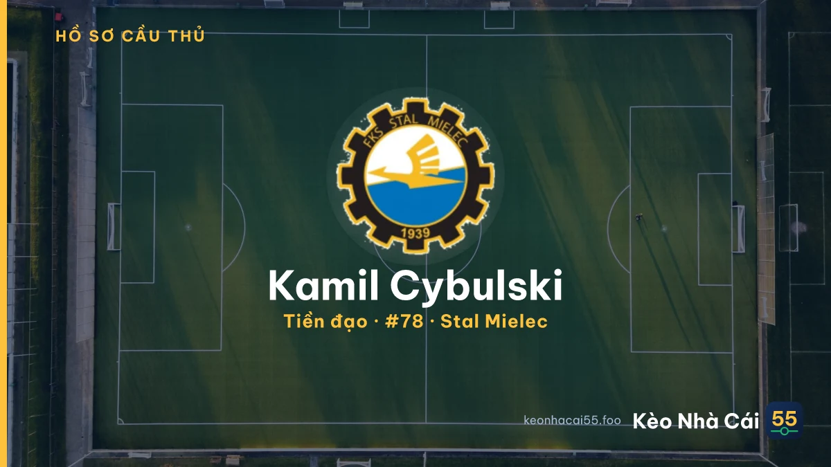 Kamil Cybulski — Stal Mielec