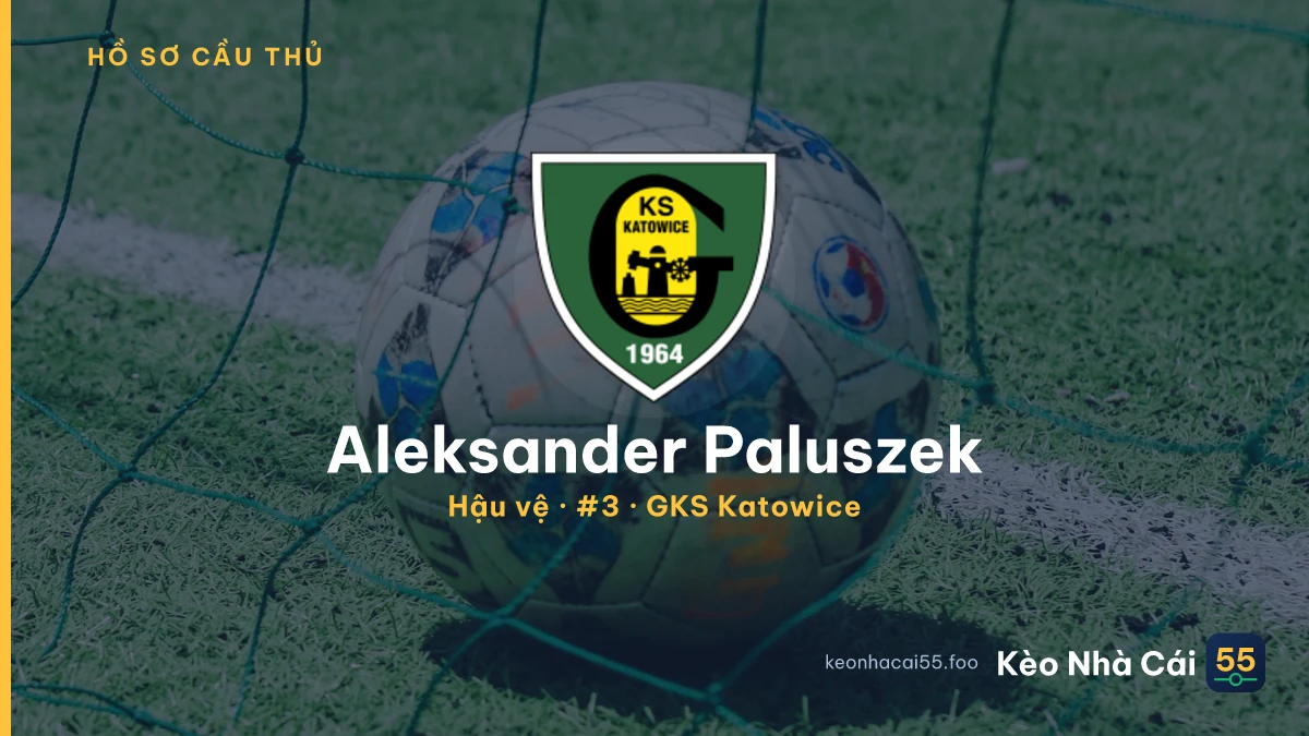 Aleksander Paluszek — GKS Katowice
