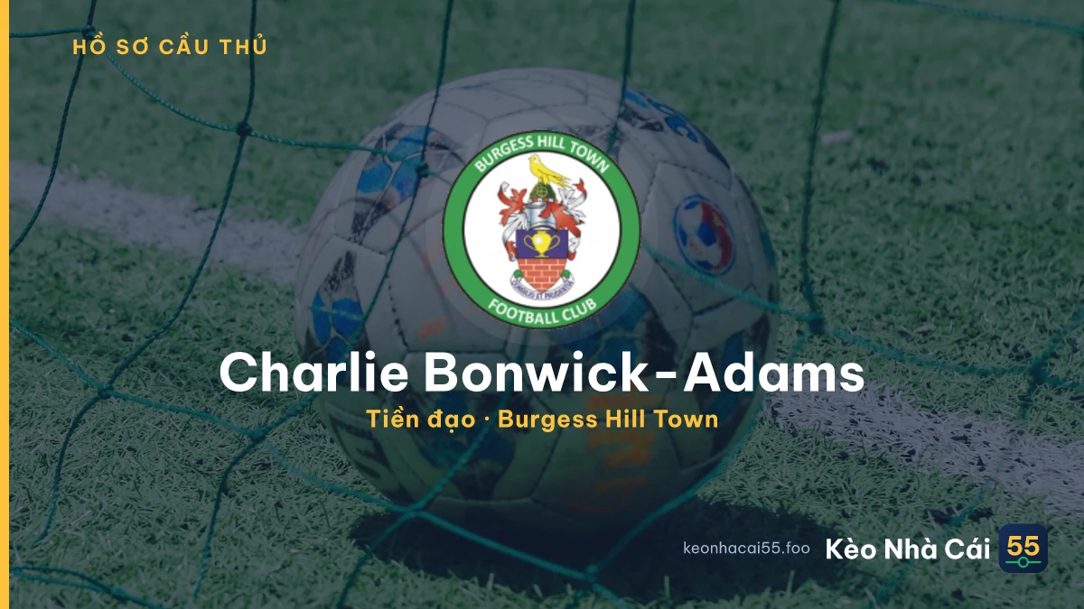 Charlie Bonwick-Adams — Burgess Hill Town