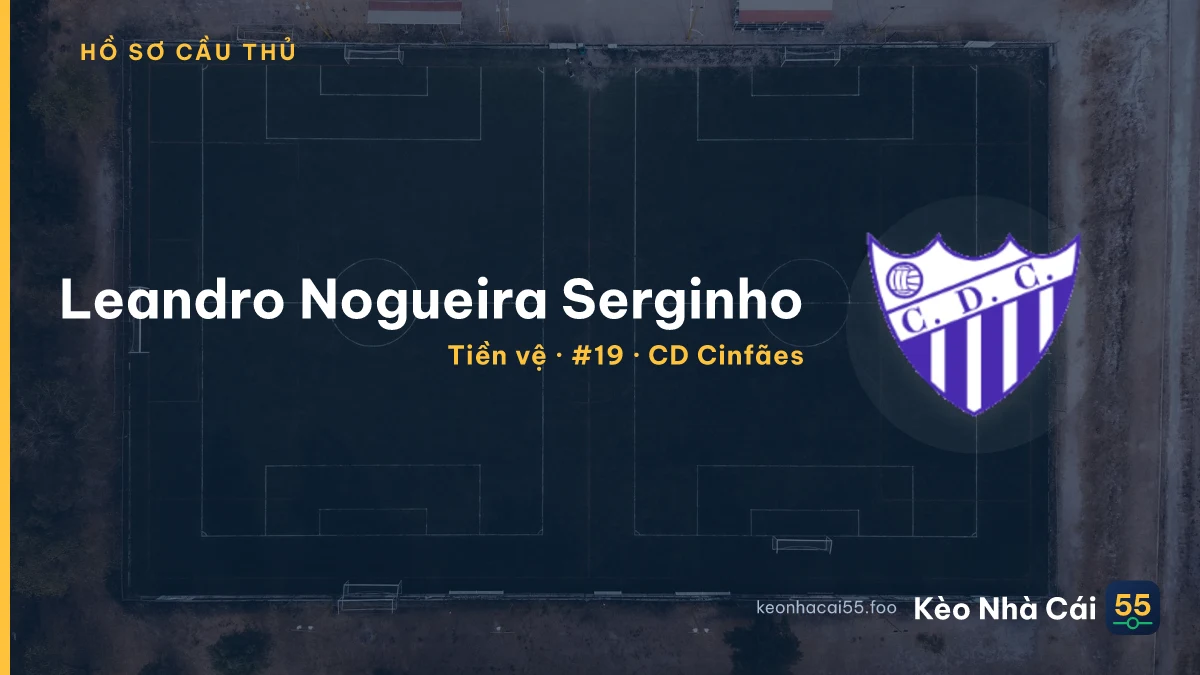 Leandro Nogueira Serginho — CD Cinfães