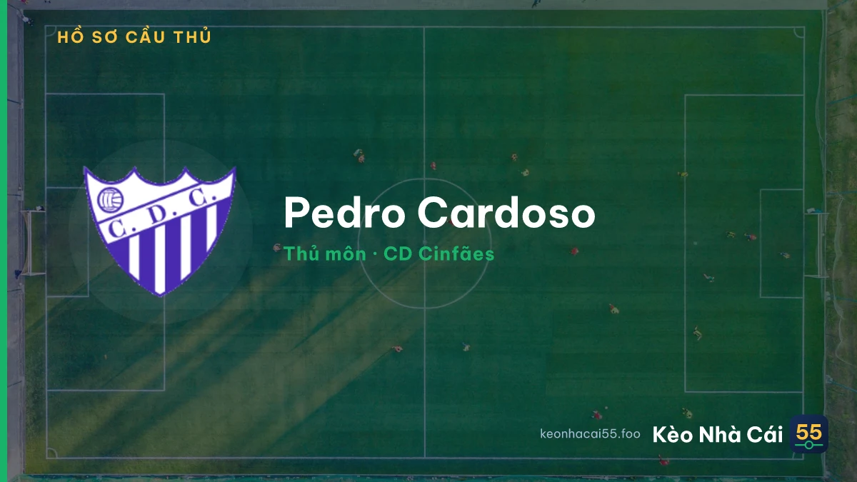 Pedro Cardoso — CD Cinfães