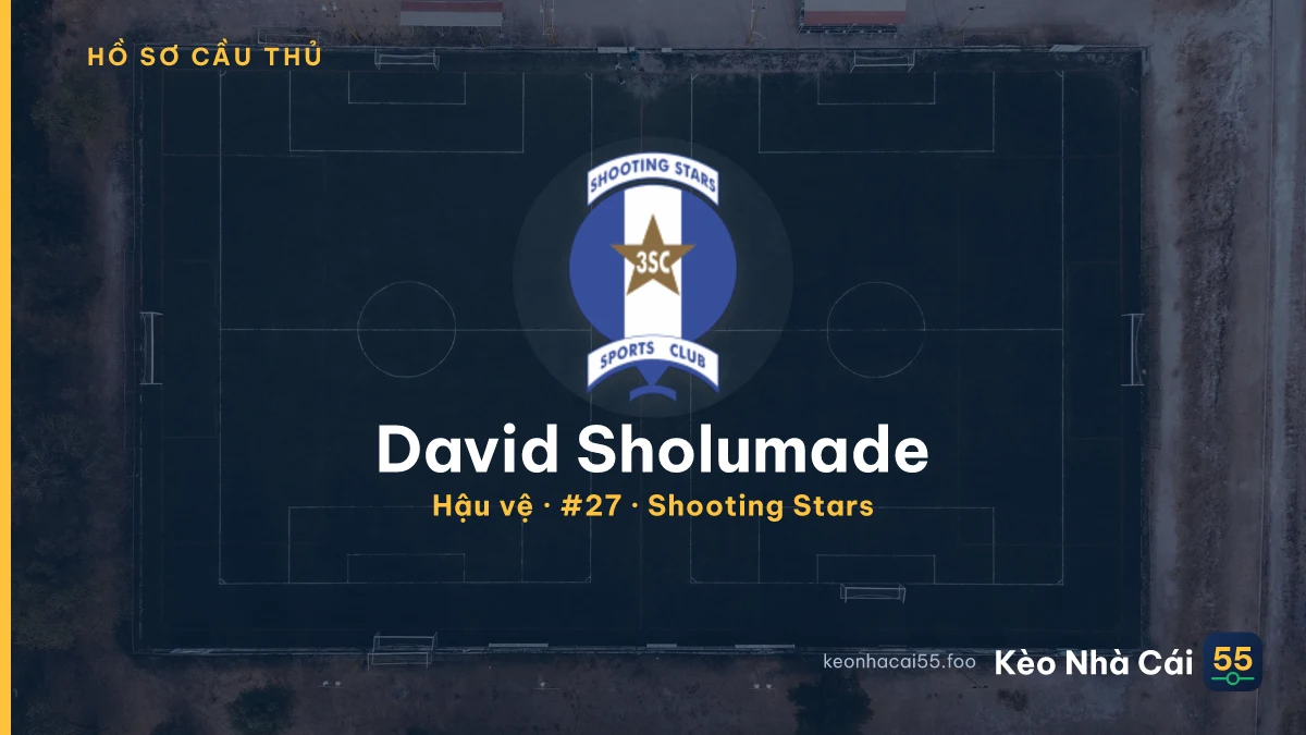David Sholumade — Shooting Stars