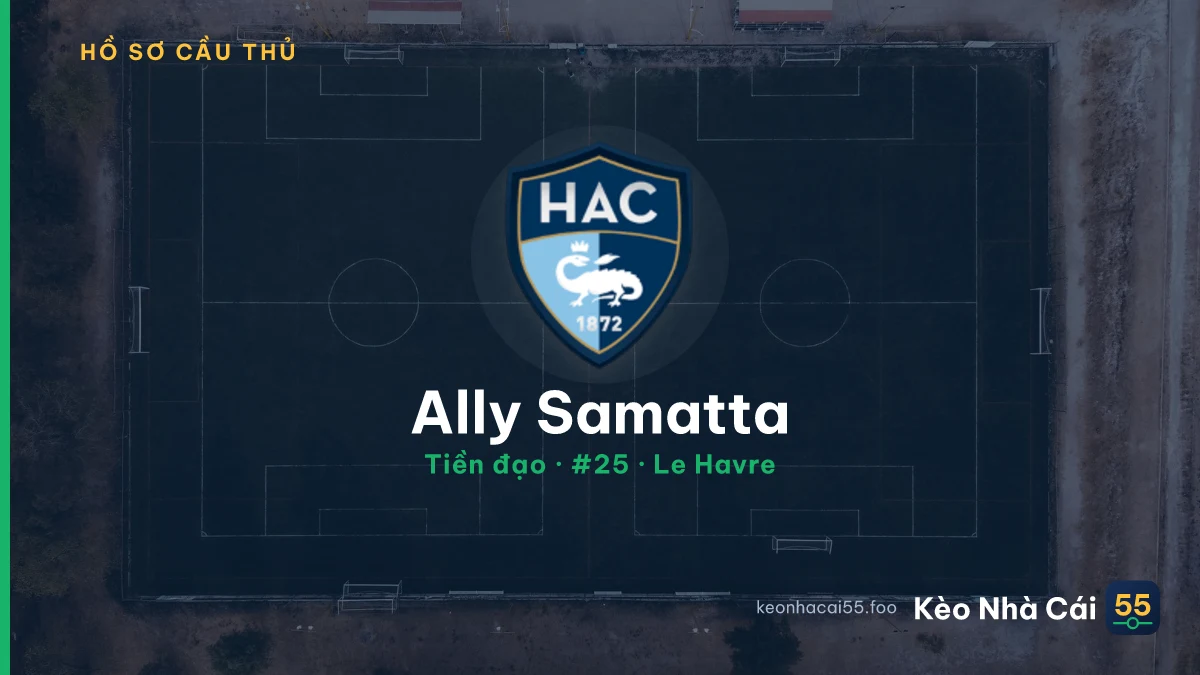 Ally Samatta — Le Havre