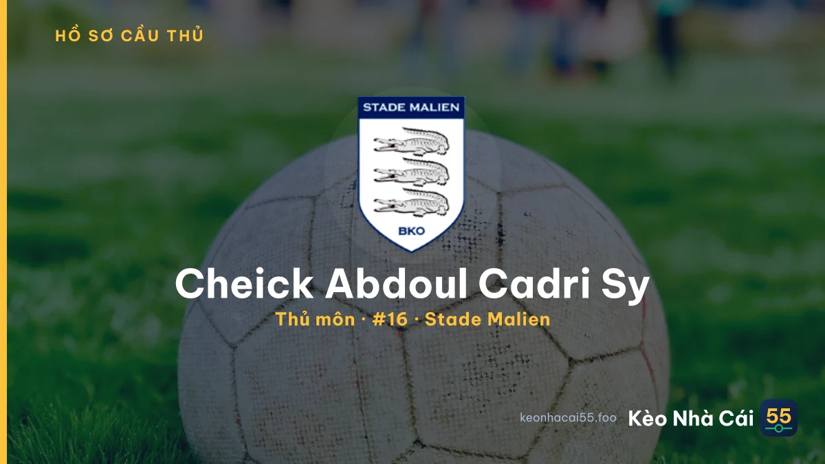 Cheick Abdoul Cadri Sy — Stade Malien