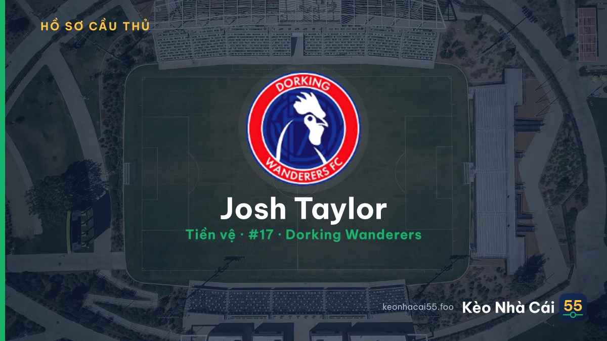 Josh Taylor — Dorking Wanderers