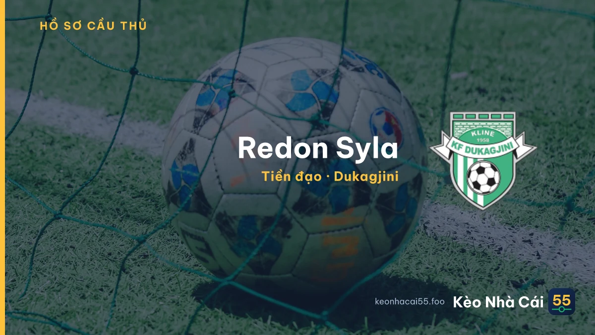 Redon Syla — Dukagjini