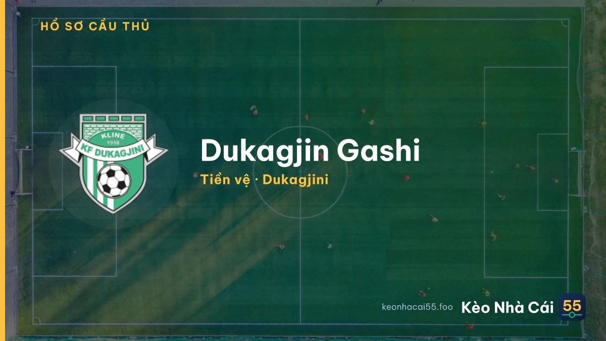 Dukagjin Gashi — Dukagjini