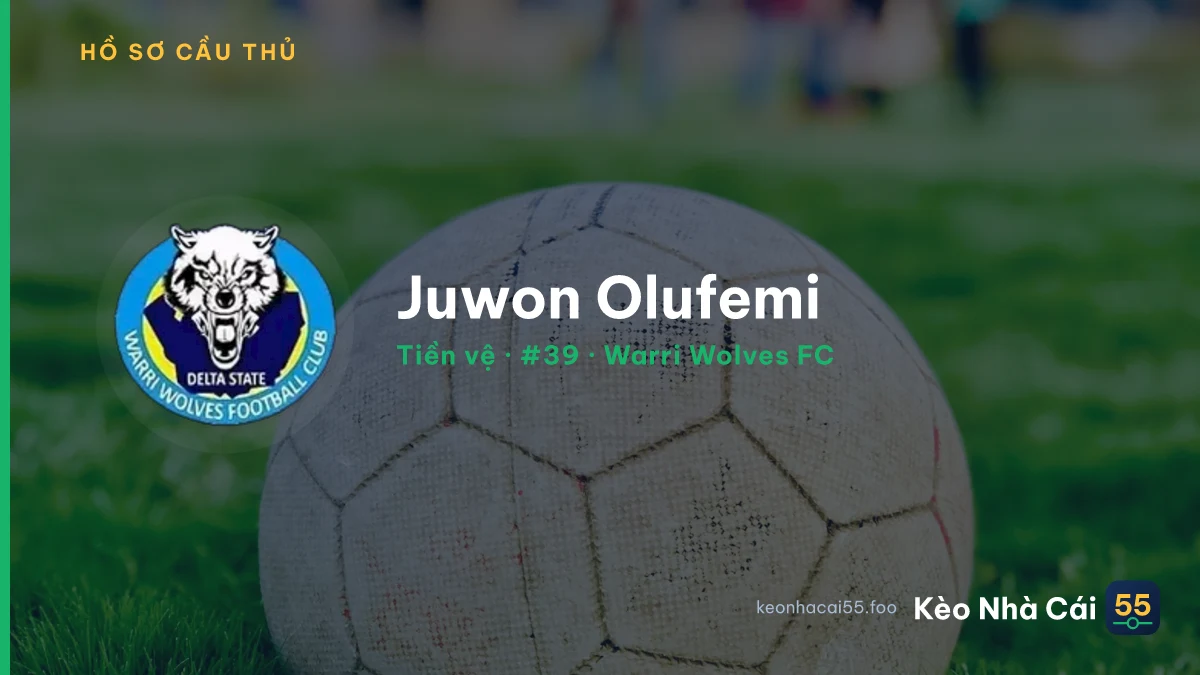 Juwon Olufemi — Warri Wolves FC