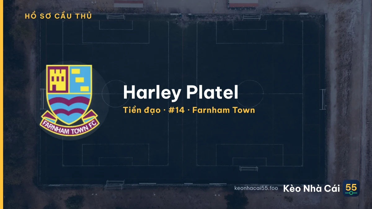 Harley Platel — Farnham Town