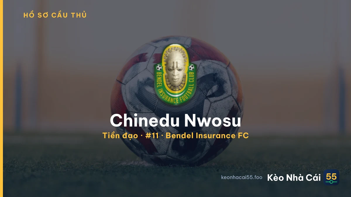 Chinedu Nwosu — Bendel Insurance FC