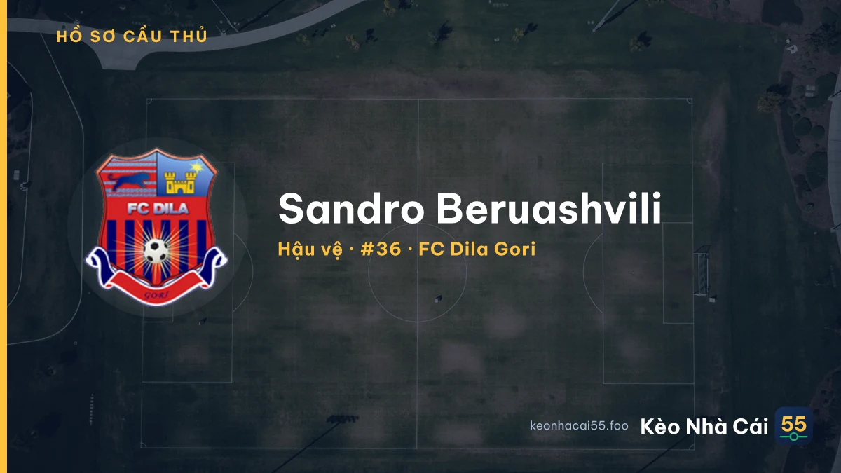 Sandro Beruashvili — FC Dila Gori