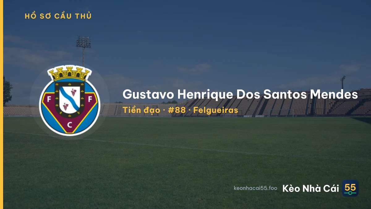 Gustavo Henrique Dos Santos Mendes — Felgueiras