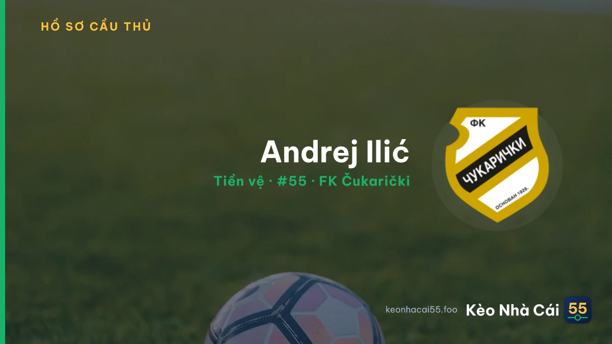 Andrej Ilić — FK Čukarički