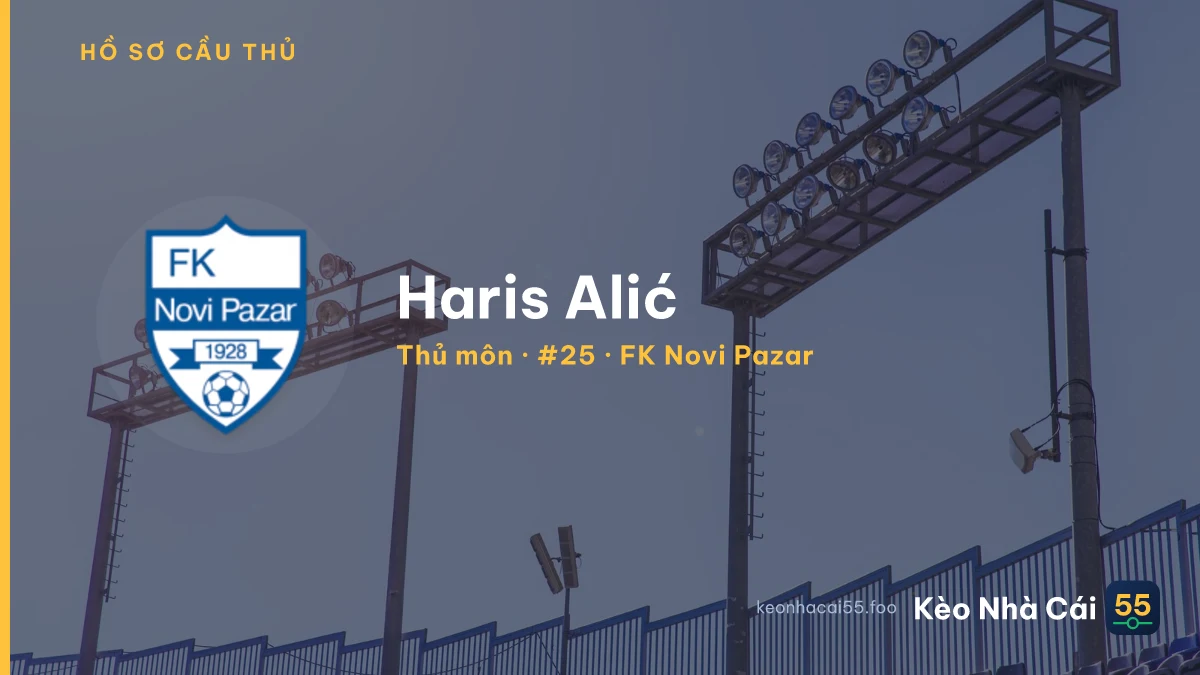 Haris Alić — FK Novi Pazar